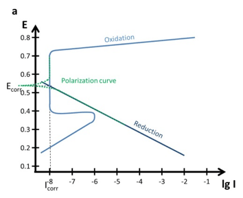 Polarization Curves: setup, recording, processing and features